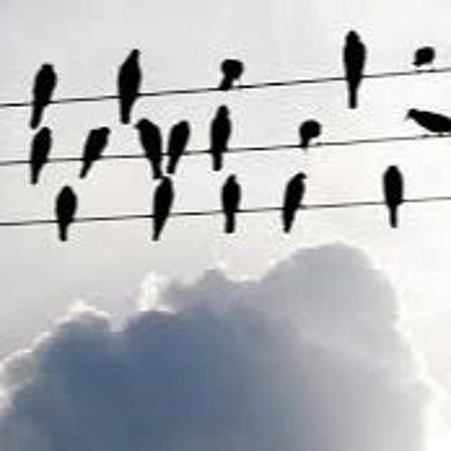 Stream Crows On The Power Line by HATEIN URHEART PROD. Listen online