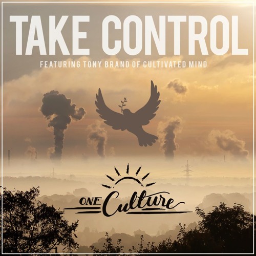 One Culture - Take Control (feat. Tony Brand of Cultivated Mind) [Rootfire World Premiere]