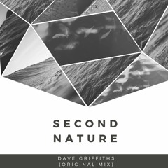 Dave Griffiths - Second Nature (unmastered preview)