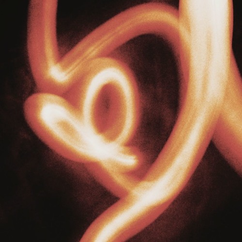 therefore for you: five ~ Fin Roy
