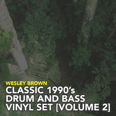 Classic 1990s Drum and Bass Vinyl Mix [Volume 2]
