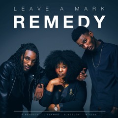 Leave A Mark_Remedy