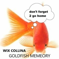 Wix Collina - GOLDFISH MEMEORY (megamix)