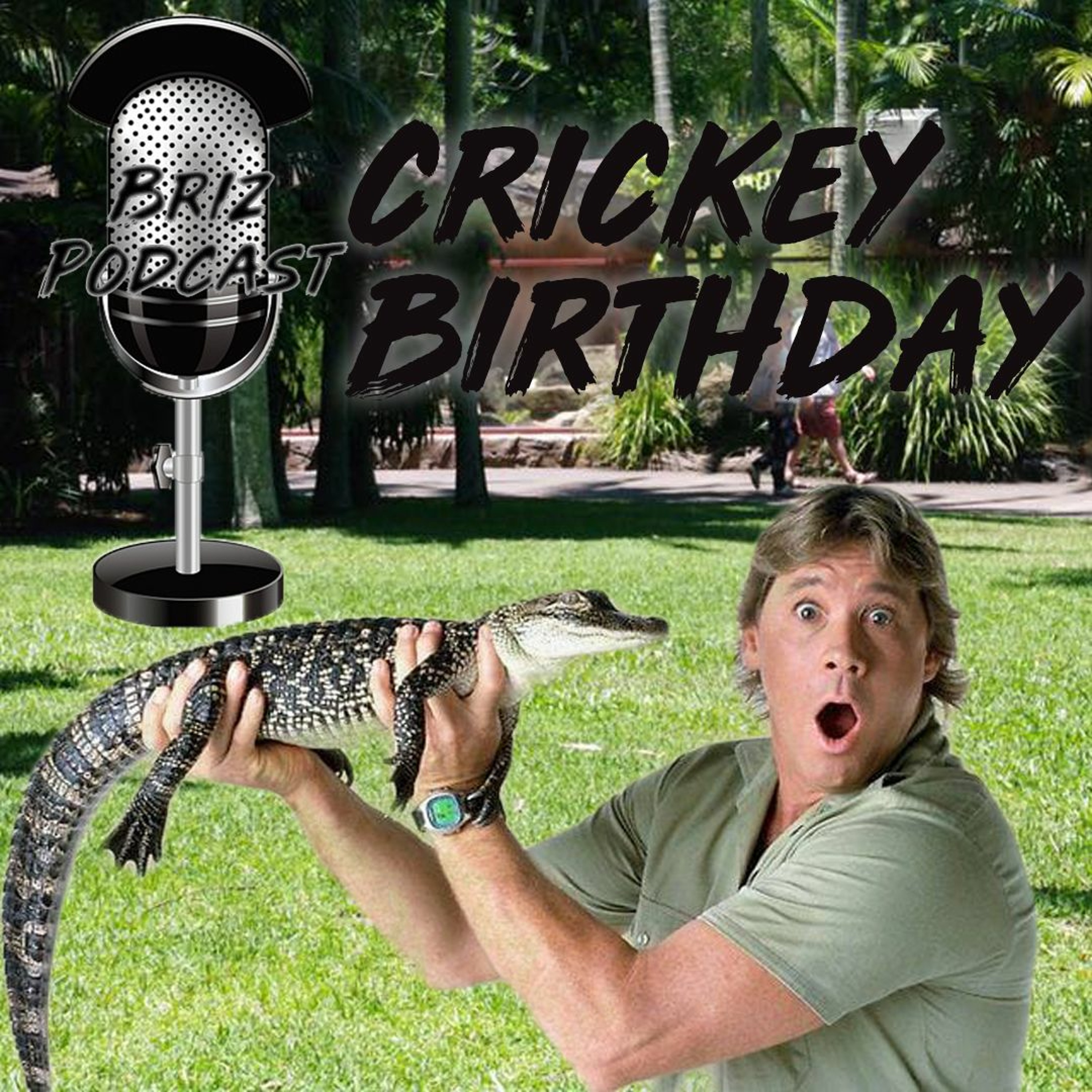 Steve Irwin episode artwork
