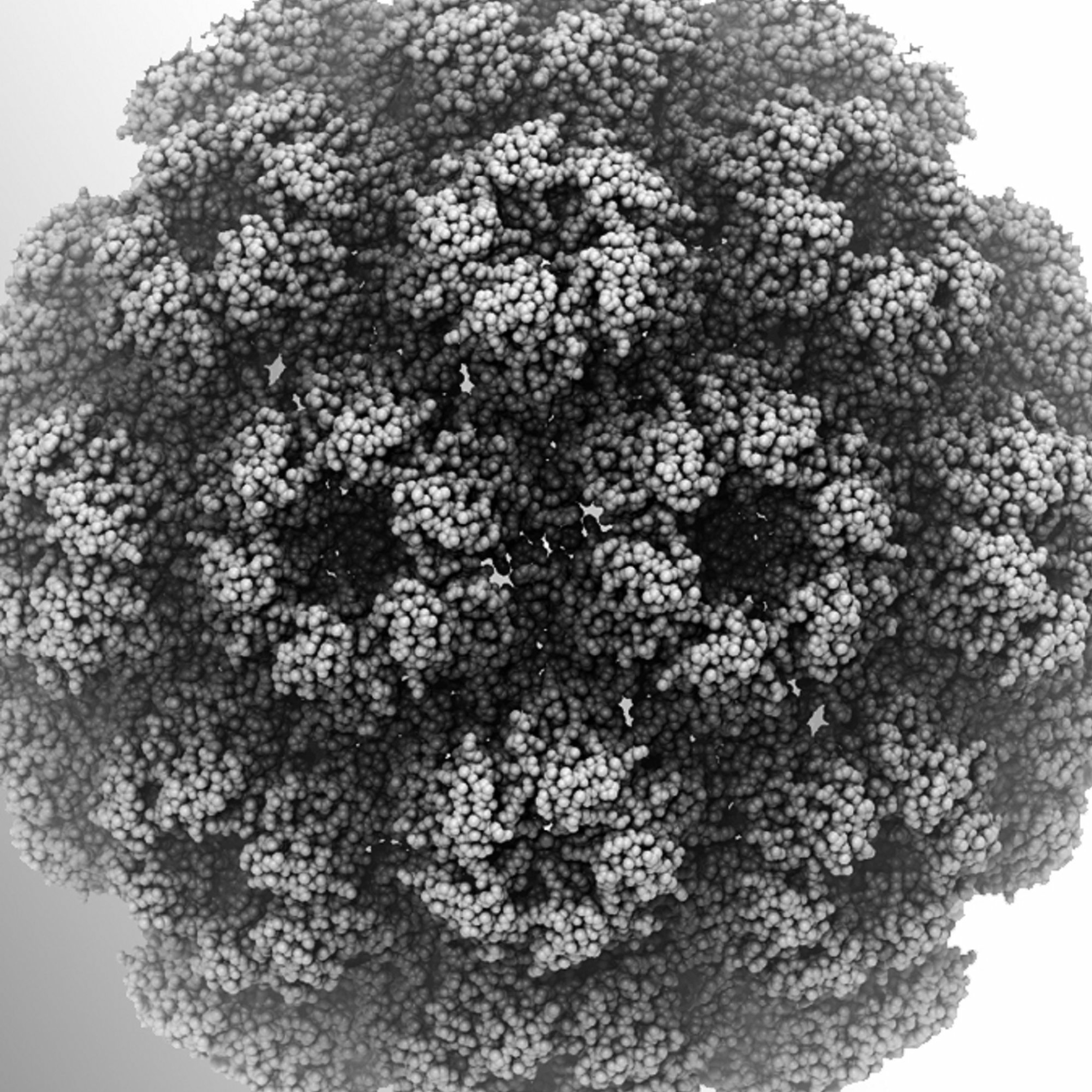 Collective Pathogen episode artwork