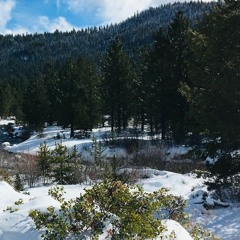 The Three Friends of Winter