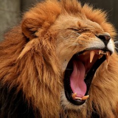 RAGE