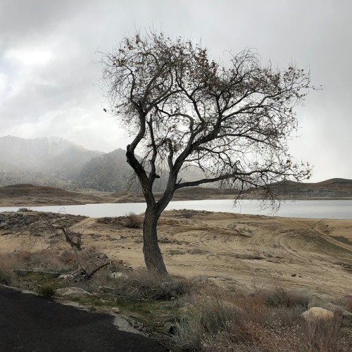 Land of Dreams:  Magic and Mischief