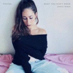 What You Don't Know (Sando Remix)