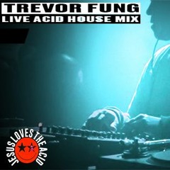 TREVOR FUNG/JESUS LOVES THE ACID MIX 02.