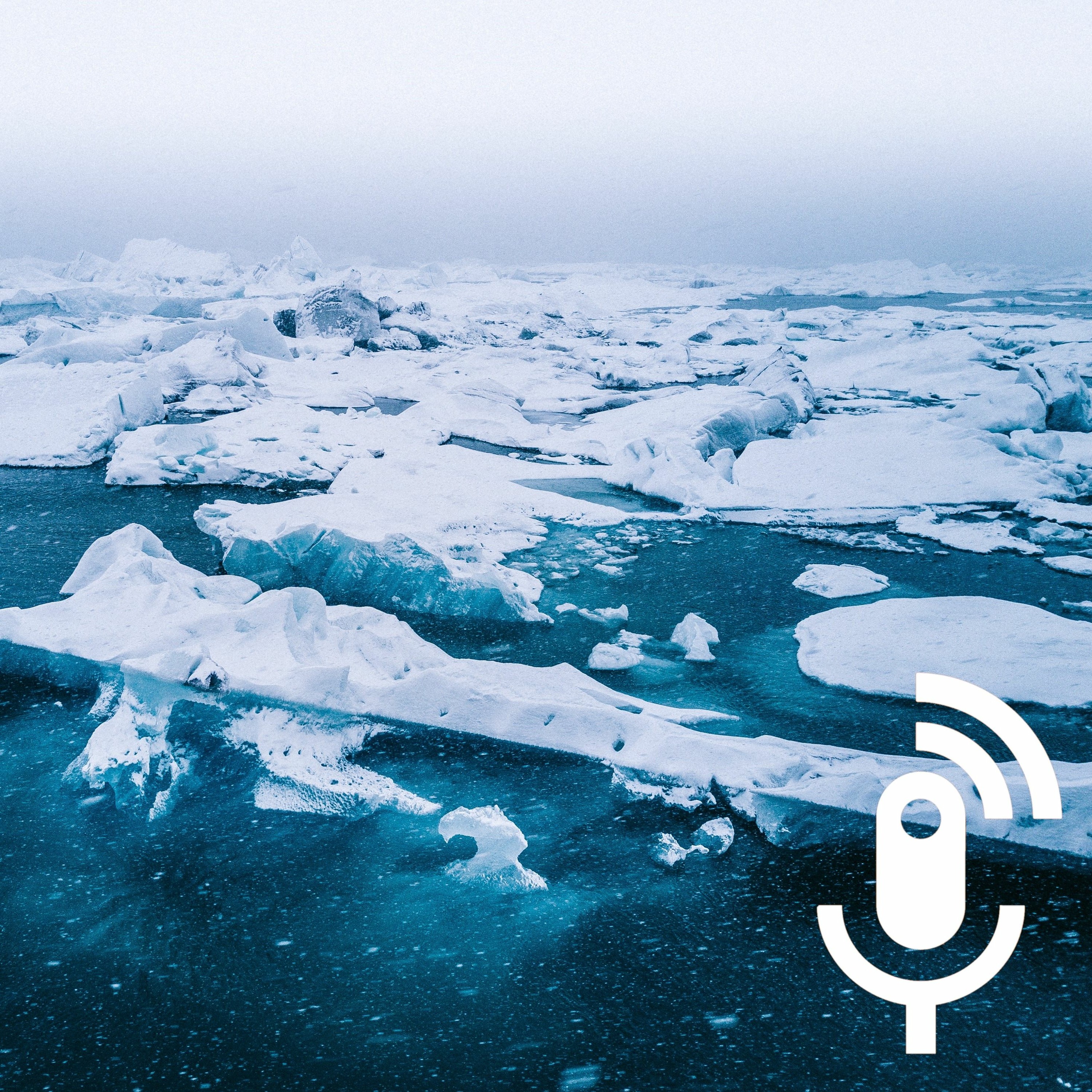 WarPod #2 Danita Burke: Perceptions of Arctic Power episode artwork