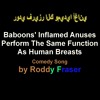 BABOONS' INFLAMED ANUSES PERFORM THE SAME FUNCTION AS HUMAN BREASTS | Comedy Song By Roddy Fraser