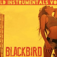 BlackBird - Wild Instrumentals vol.7(side B)