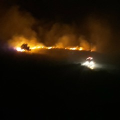 ilerde dönüp gülcem buna ellemeyin