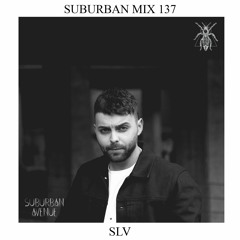Suburban Mix 137 - SLV
