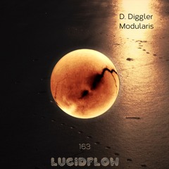 D. Diggler - Dreams