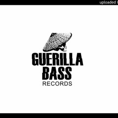 Programs In Memory - There's Nothing To Be Afraid Of (Guerilla Bass Records)