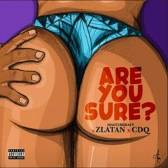 Masterkraft - Are You Sure ft. Zlatan X CDQ