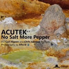 [GIB044] Acutek - No Salt, More Pepper (Original Mix)