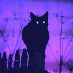 xxxtentacion - black cat (interlude)