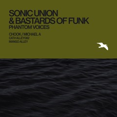 Premiere: Sonic Union And Bastards Of Funk - Phantoms (Michael A Remix) [Mango Alley]