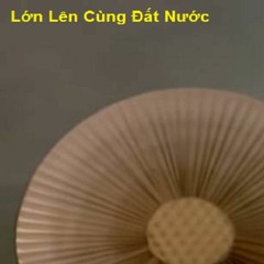 LLCDN004