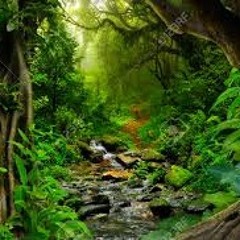 Tom Gillieron - Murfday Track (2005)