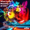 What Is The Meaning Of Life?