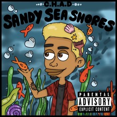 Sandy Sea Shores (prod. Jason Winde)