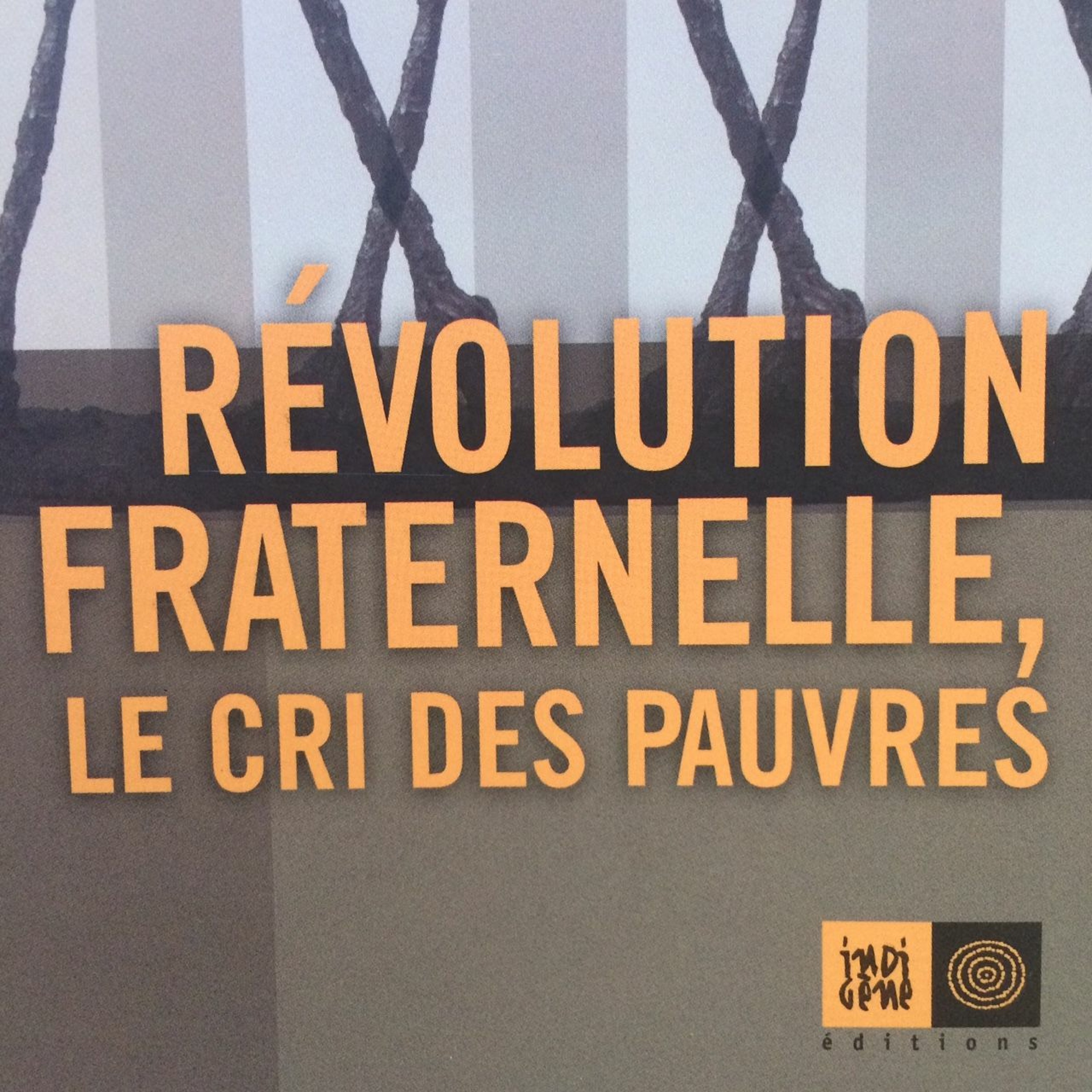 Révolution fraternelle, le cri des pauvres - Livre de Véronique Fayet episode artwork