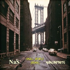 Nas - Small World [yunginfinite Remix]