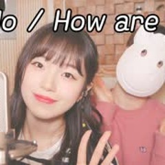달마발내맘