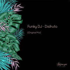 Funky DJ - Disfruto (Original Mix)