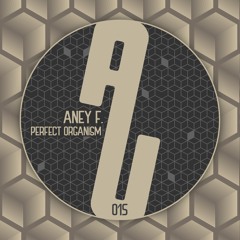 Aney F. - Sequence (Original Mix) - As Usual