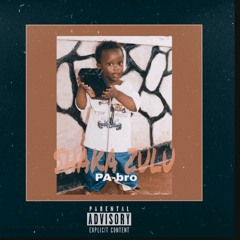 PA-bro - Shaka Zulu