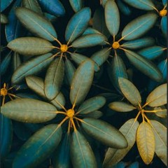 feint (vid in description)