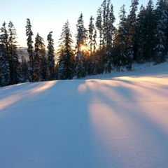 INFITTIRSI DICIANNOVE