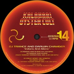 DJ Trance & Darwin Chamber - Indians And Aliens (Roza Terenzi Terrestrial Mix)