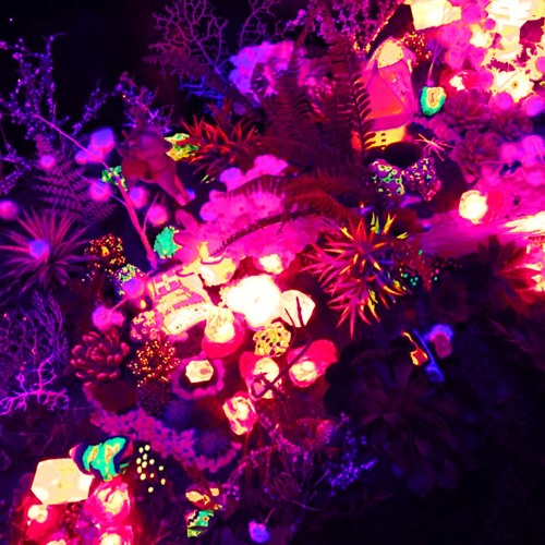 Steven Strahl @ Eremina 31.12.2018 //Abracadabra// 6 Hour Mix