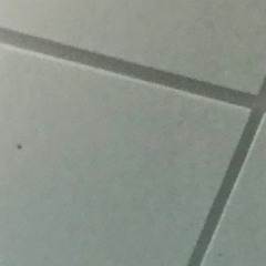 Chase Atlantic - Triggered (Mailto Flip)