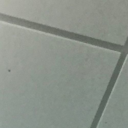 Chase Atlantic - Triggered (Mailto Flip)