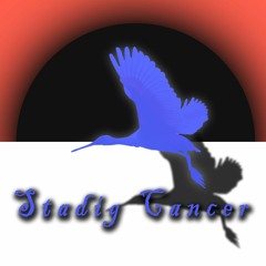Stadig Cancer