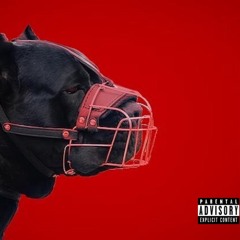 RawDawg (Prod. Birdie Bands)