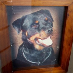 completely unnecessary roughness