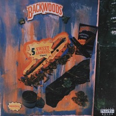 BACKWOODS  (Prod. Bobby Xan)