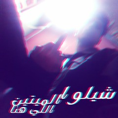 SHELOW ELMAYTEN EllY HENA - شيلوا الميتين ال هنا