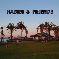 Habibi & Friends - 15th St.