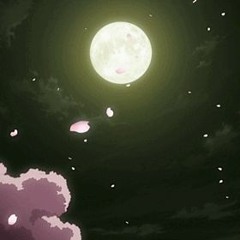 idonthavename  - ruins feelings -無駄感情-(out on spotify)