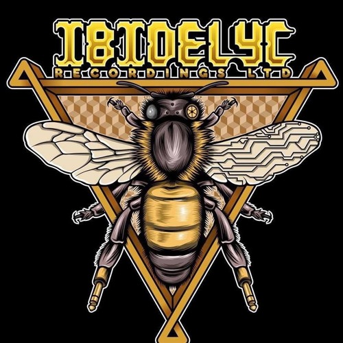 Space.wizard - Dangerous Bee (16bit Master)Ibidelyc Recordings LTD