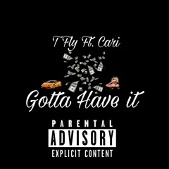T Fly Ft Cari